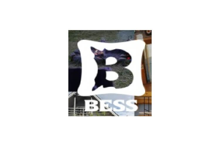 株式会社 アールシーコア（R.C.CORE CO., LTD.）のキャプチャ画像