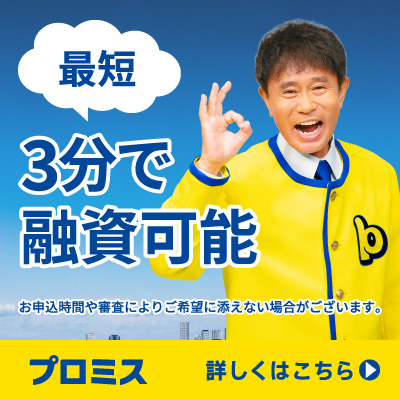 プロミスバナー