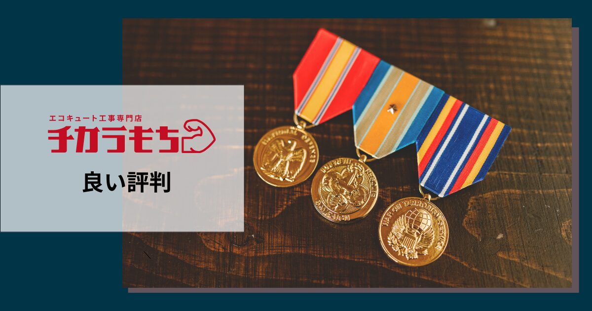 チカラもちの良い評判や口コミ　