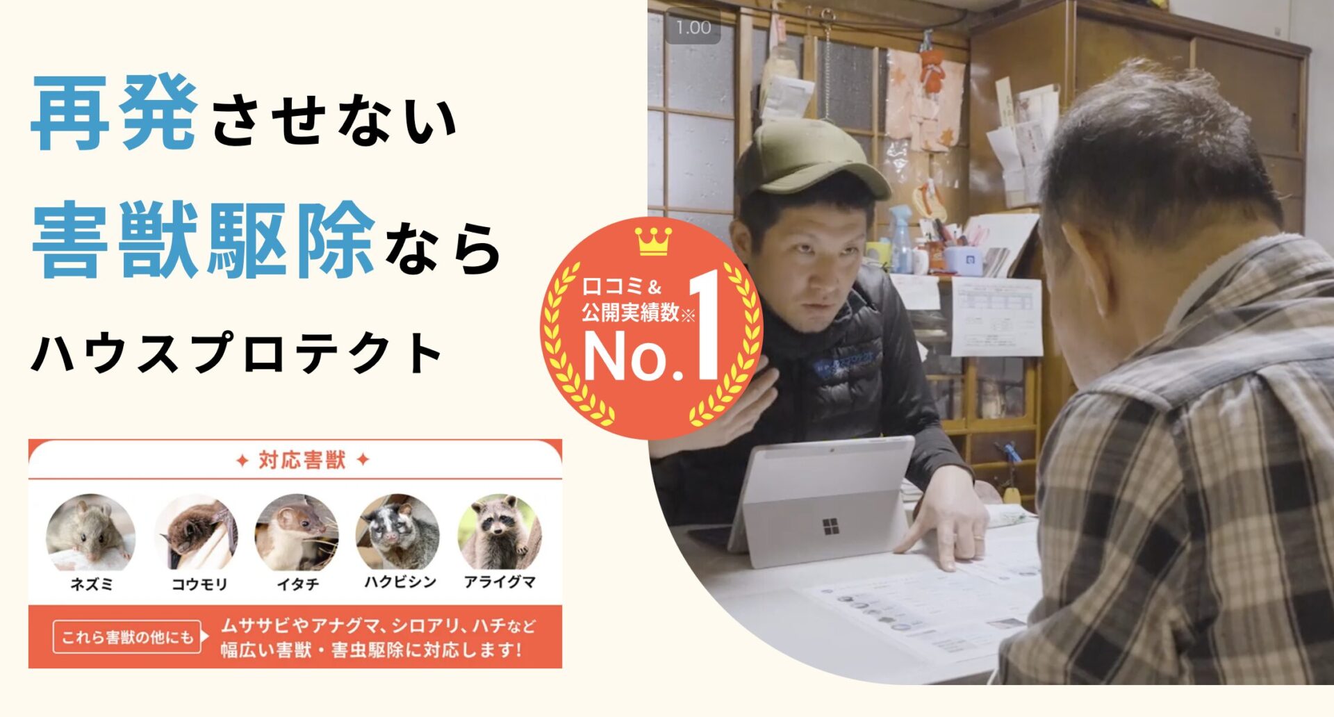 ハウスプロテクトとは