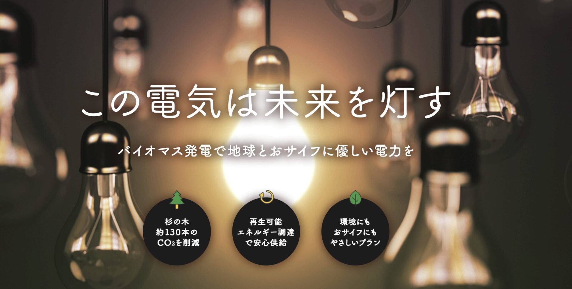 エバーグリーン